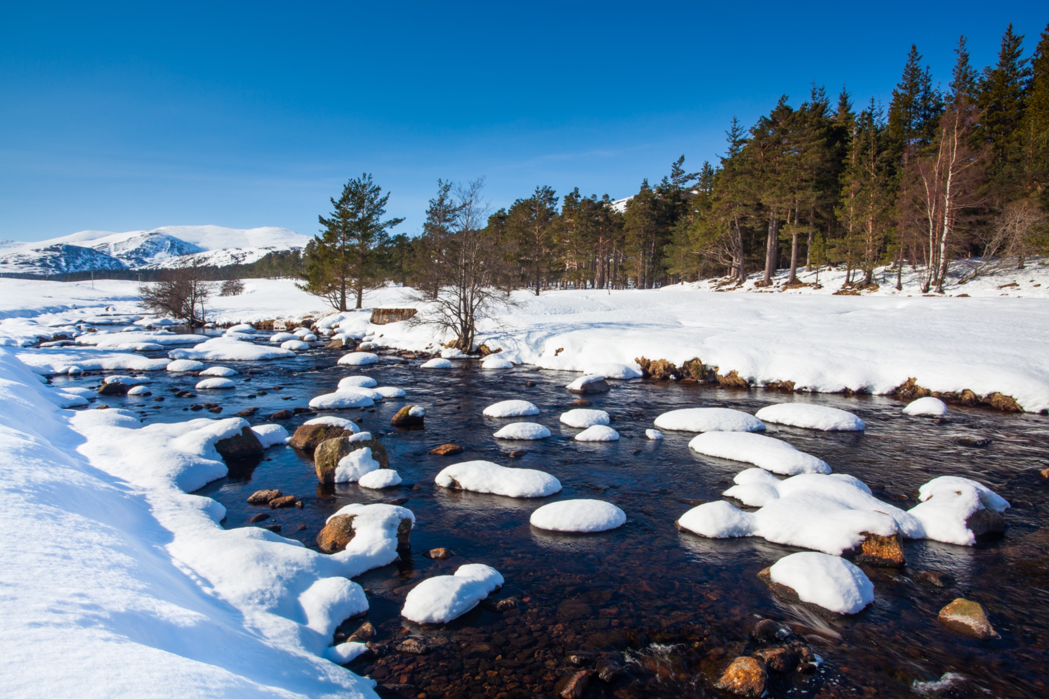 Scotland, Scottish Highlands, Cairngorms National Park.